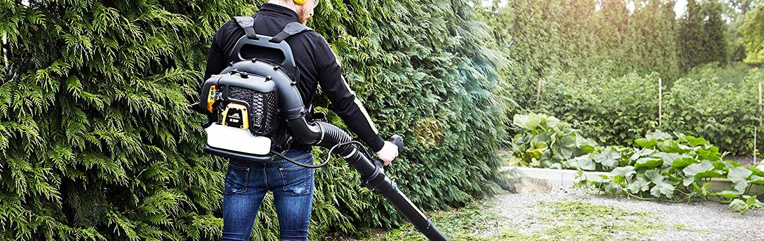 Best petrol leaf blower [UK]: Garden Box professional large leaf Tool and blowers for gardens, powerful compared » Shetland\'s