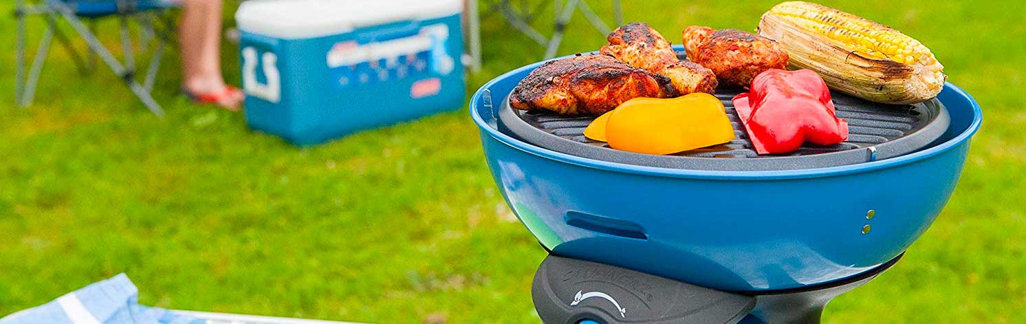 hoofdpijn Gewoon doen Maladroit UK's best portable gas bbq that are small for camping and caravans »  Shetland's Garden Tool Box