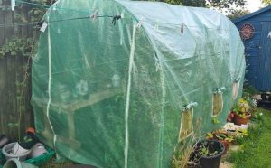 UK's Best Polytunnels Are Heavy Duty And Wind Resistant For Allotments ...