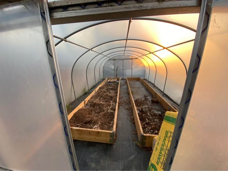 UK's Best Polytunnels Are Heavy Duty And Wind Resistant For Allotments ...