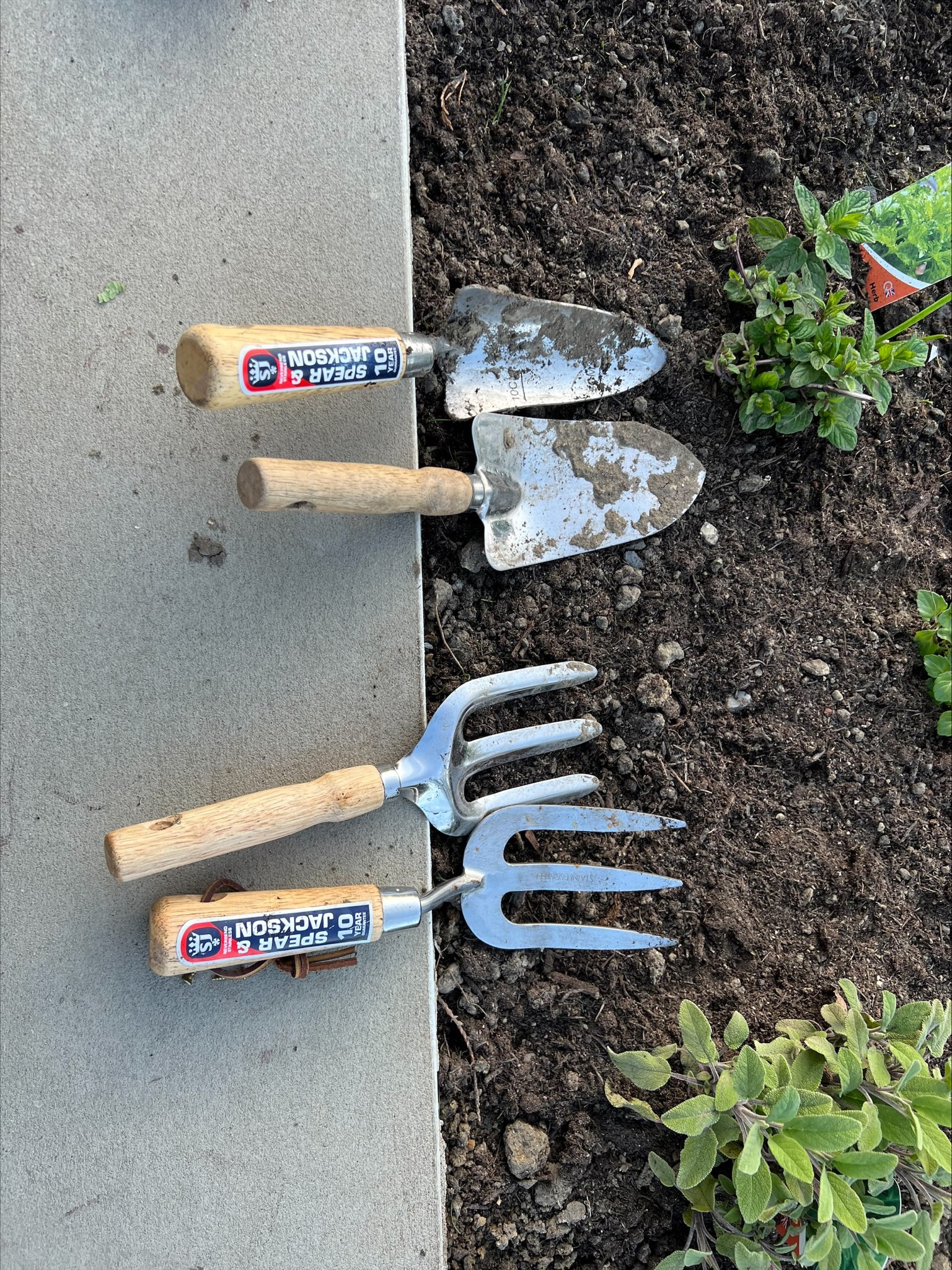 Spear and jackson store trowel and fork